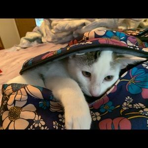 Meet your Posher, Tina